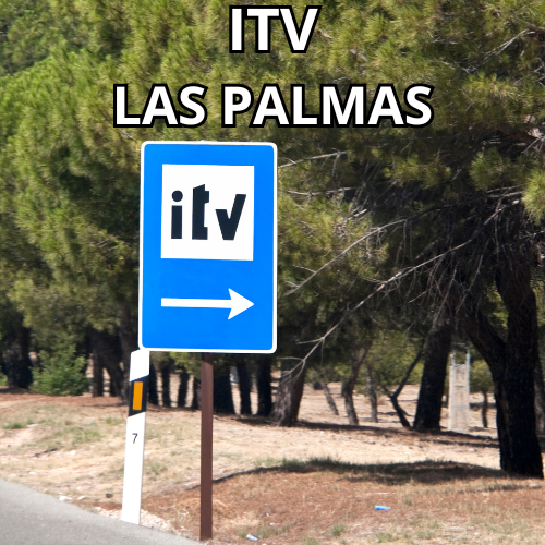 pedir cita itv las palmas